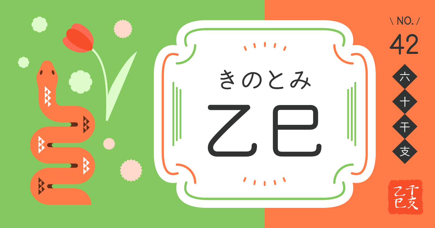 「乙巳（きのとみ）」の性格、恋愛傾向、男女別の特徴【四柱推命】