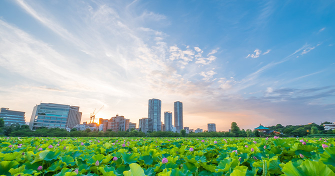 上野公園の不忍池