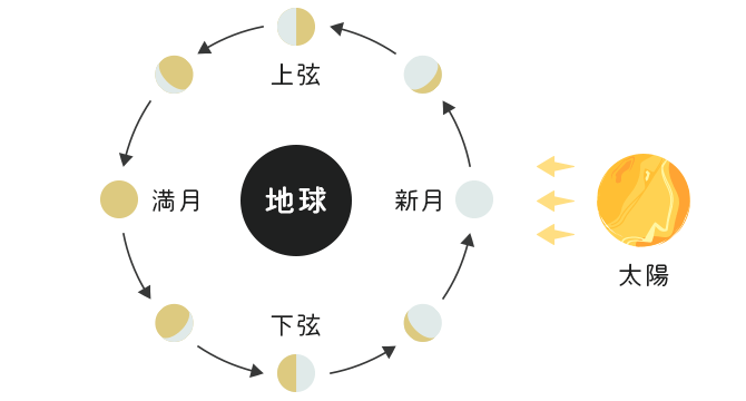 地球、太陽、月の位置関係による月相