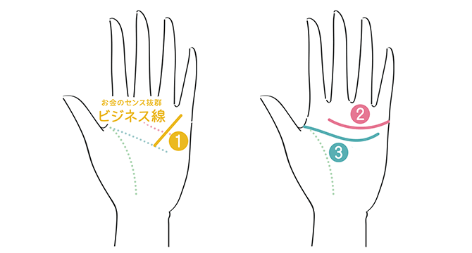 ビジネス線を含む、商売上手な人の手相画像