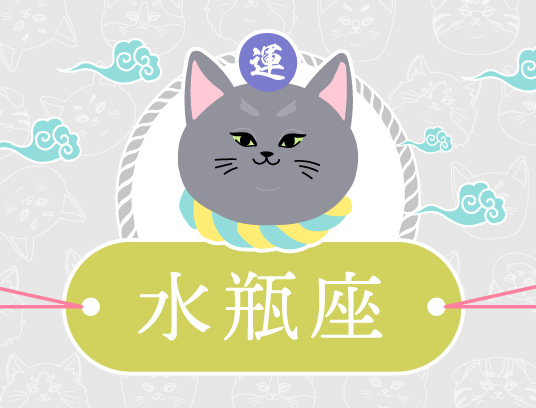 水瓶座